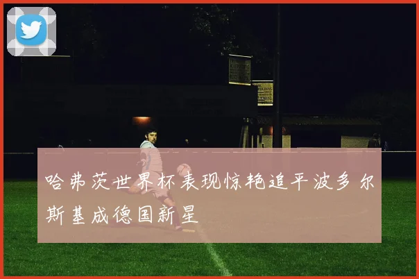 哈弗茨世界杯表现惊艳追平波多尔斯基成德国新星